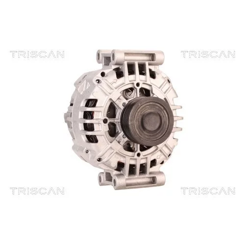 Alternátor 8310 10060 /TRISCAN/ - obr. 4