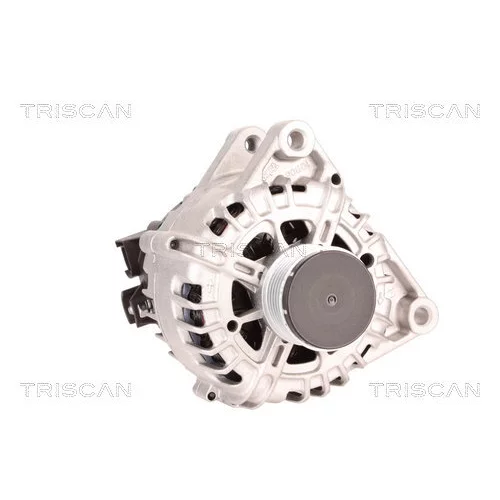 Alternátor 8310 10096 /TRISCAN/ - obr. 4