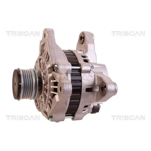 Alternátor 8310 10122 /TRISCAN/ - obr. 6