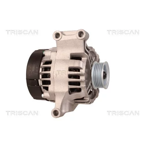 Alternátor 8310 10137 /TRISCAN/ - obr. 3