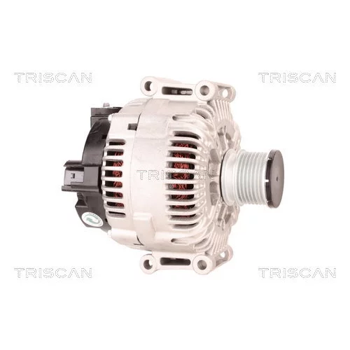 Alternátor 8310 10161 /TRISCAN/ - obr. 3
