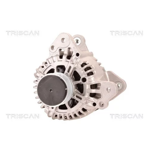 Alternátor 8310 10169 /TRISCAN/ - obr. 5