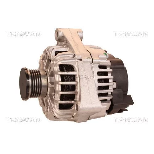 Alternátor 8310 11017 /TRISCAN/ - obr. 6