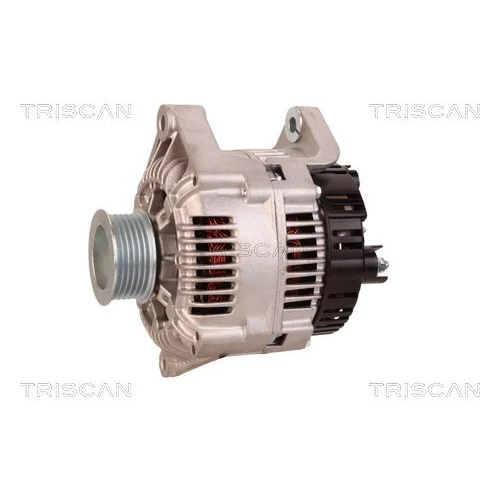 Alternátor 8310 11028 /TRISCAN/ - obr. 6