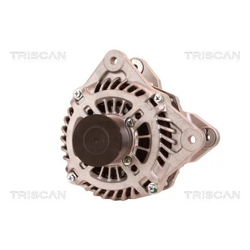 Alternátor 8310 11030 /TRISCAN/ - obr. 5