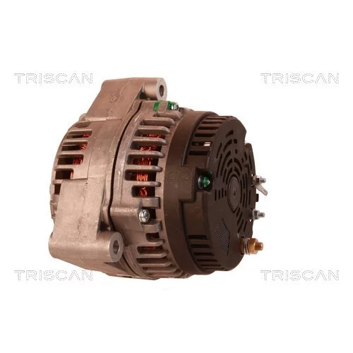 Alternátor 8310 13002 /TRISCAN/ - obr. 7