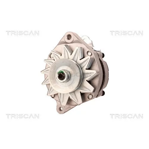 Alternátor TRISCAN 8310 13014