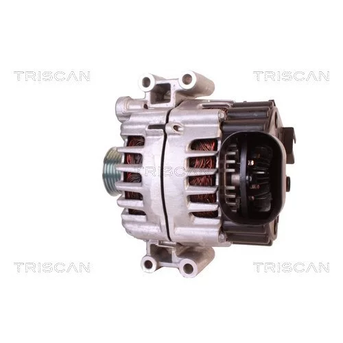 Alternátor 8310 14013 /TRISCAN/ - obr. 7