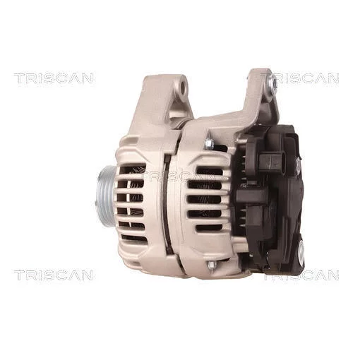 Alternátor 8310 16010 /TRISCAN/ - obr. 7