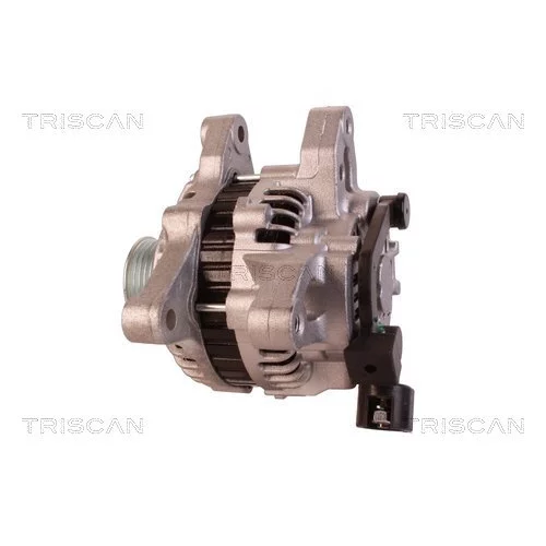 Alternátor 8310 16020 /TRISCAN/ - obr. 7