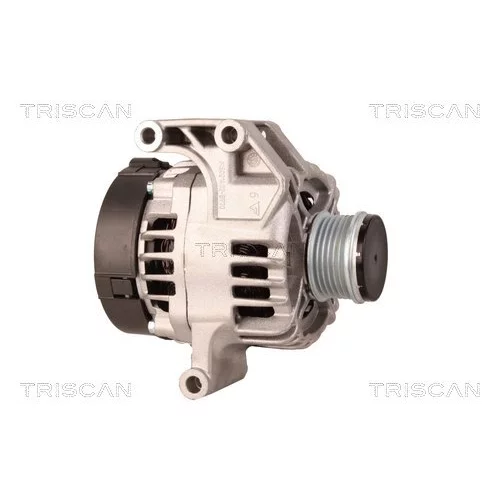 Alternátor 8310 16029 /TRISCAN/ - obr. 3