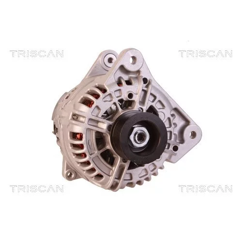 Alternátor 8310 16032 /TRISCAN/ - obr. 4