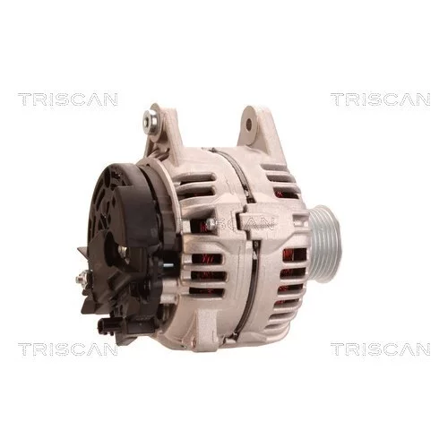 Alternátor 8310 16033 /TRISCAN/ - obr. 2