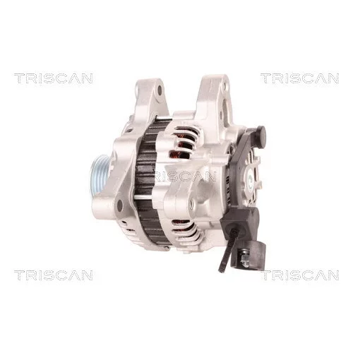 Alternátor 8310 17005 /TRISCAN/ - obr. 7