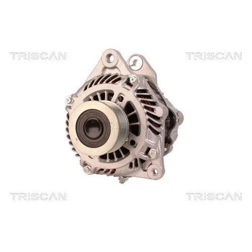 Alternátor 8310 18002 /TRISCAN/ - obr. 5