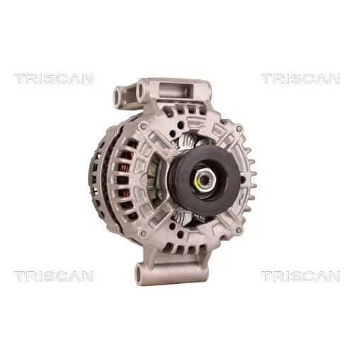 Alternátor 8310 18003 /TRISCAN/ - obr. 4