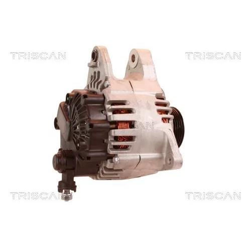Alternátor 8310 23040 /TRISCAN/ - obr. 2