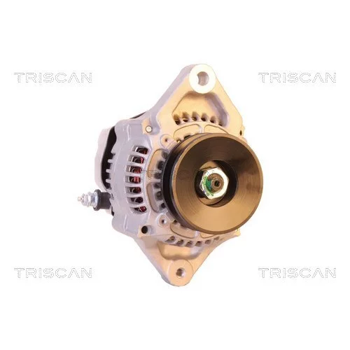 Alternátor 8310 24006 /TRISCAN/ - obr. 4