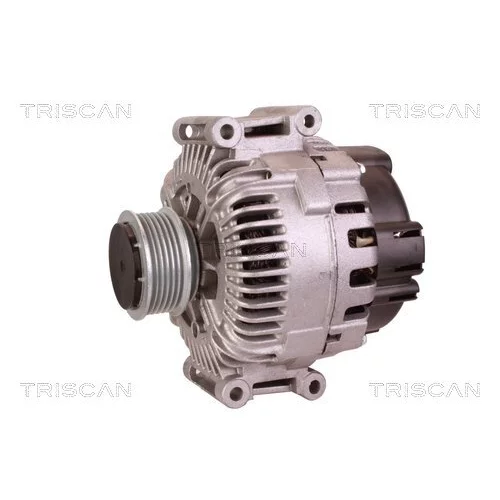 Alternátor 8310 24012 /TRISCAN/ - obr. 6
