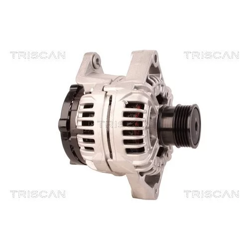 Alternátor 8310 24014 /TRISCAN/ - obr. 3