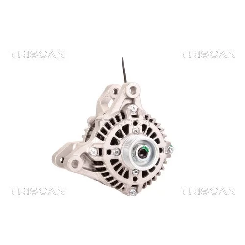 Alternátor 8310 24021 /TRISCAN/ - obr. 4