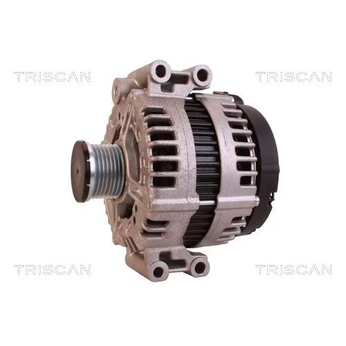 Alternátor 8310 24021 /TRISCAN/ - obr. 6