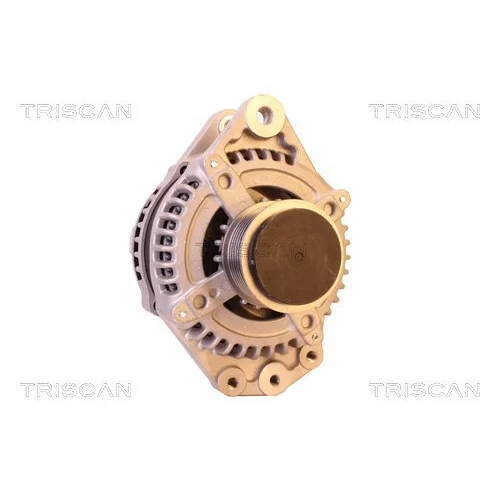 Alternátor 8310 25004 /TRISCAN/ - obr. 4