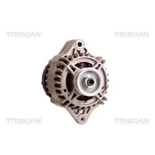 Alternátor 8310 25010 /TRISCAN/ - obr. 4