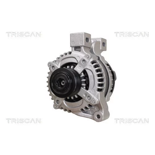 Alternátor 8310 25010 /TRISCAN/ - obr. 5