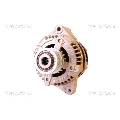 Alternátor 8310 25017 /TRISCAN/ - obr. 5