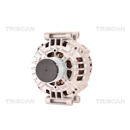 Alternátor 8310 29007 /TRISCAN/ - obr. 5