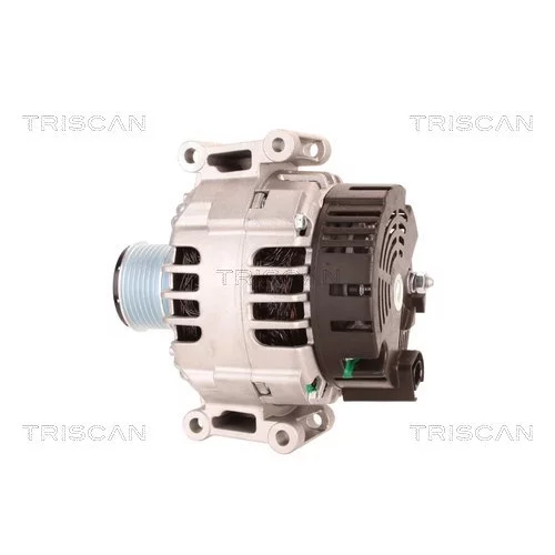 Alternátor 8310 29007 /TRISCAN/ - obr. 7