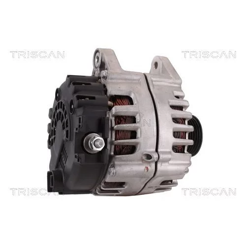 Alternátor 8310 29023 /TRISCAN/ - obr. 2