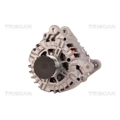 Alternátor 8310 29026 /TRISCAN/ - obr. 5