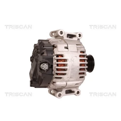 Alternátor 8310 29060 /TRISCAN/ - obr. 2
