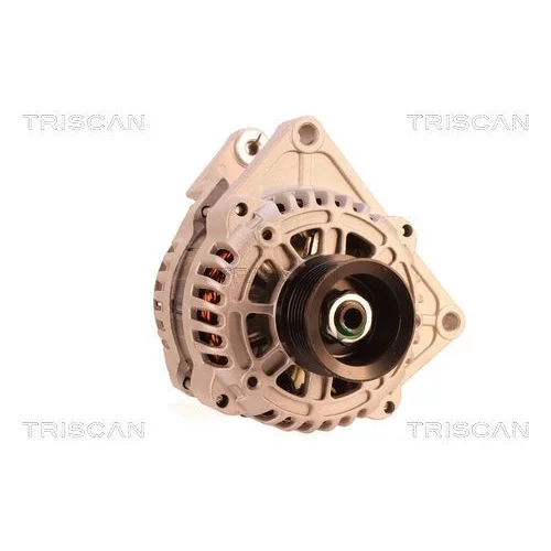 Alternátor 8310 29063 /TRISCAN/ - obr. 4