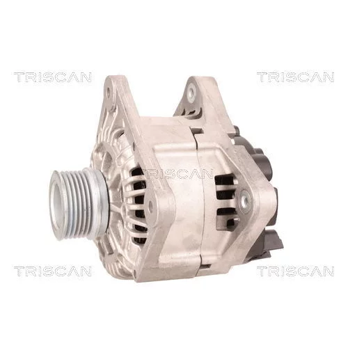 Alternátor 8310 29069 /TRISCAN/ - obr. 6