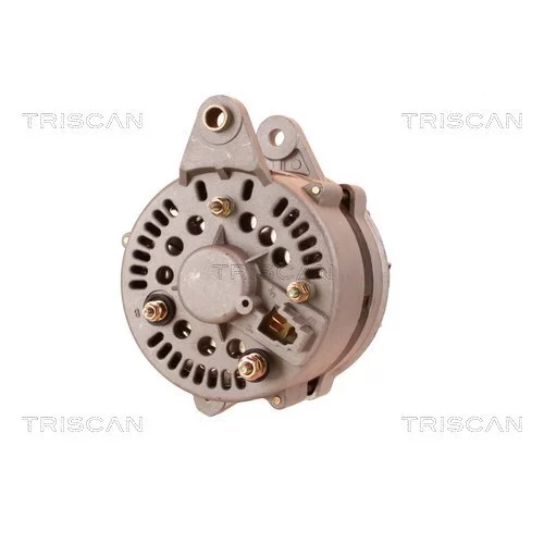 Alternátor 8310 29077 /TRISCAN/ - obr. 4