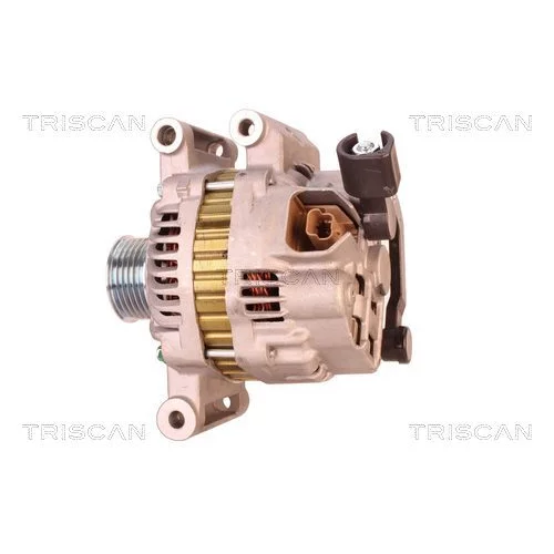 Alternátor 8310 43039 /TRISCAN/ - obr. 7