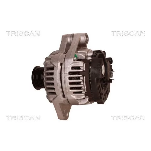Alternátor 8310 68009 /TRISCAN/ - obr. 7