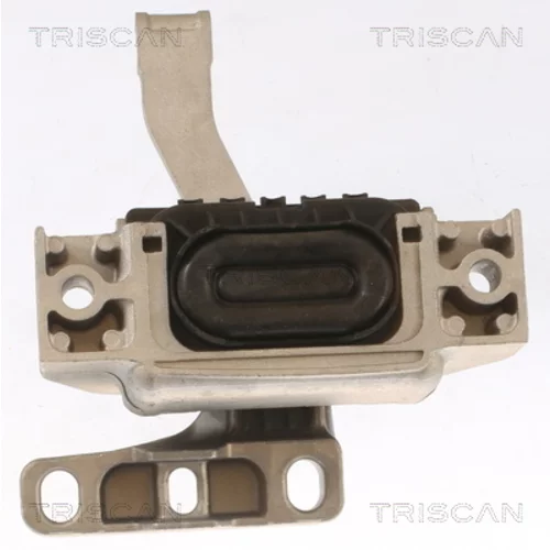 Uloženie motora 8505 29117 /TRISCAN/ - obr. 1