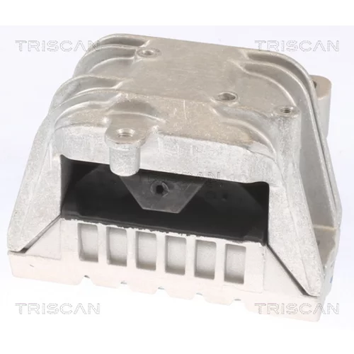 Uloženie motora 8505 29121 /TRISCAN/ - obr. 1