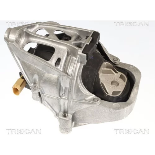 Uloženie motora TRISCAN 8505 29181