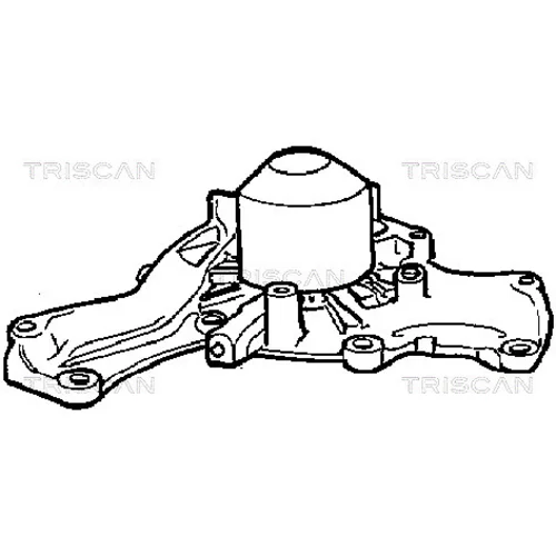 Vodné čerpadlo, chladenie motora 8600 10907 /TRISCAN/ - obr. 1