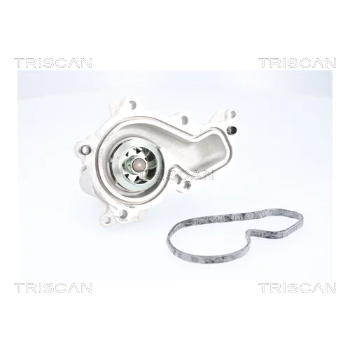 Vodné čerpadlo, chladenie motora 8600 16080 /TRISCAN/ - obr. 1