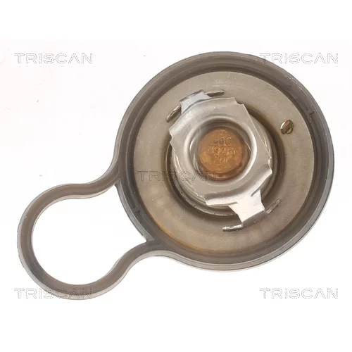 Termostat chladenia TRISCAN 8620 55484