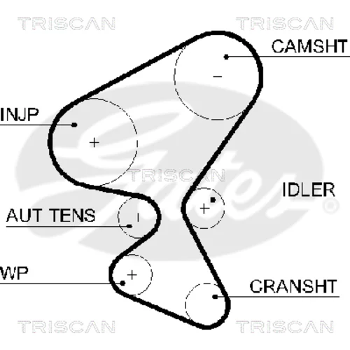 Ozubený remeň TRISCAN 8645 5598xs