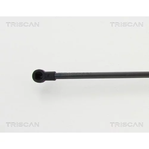 Pneumatická pružina, Batožinový/nákladný priestor 8710 13282 /TRISCAN/ - obr. 1