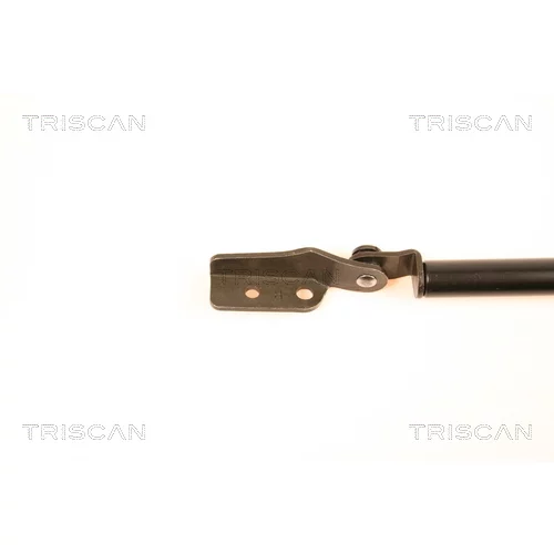 Pneumatická pružina, Batožinový/nákladný priestor 8710 14232 /TRISCAN/ - obr. 1