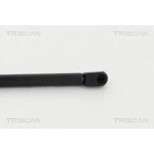 Pneumatická pružina, Batožinový/nákladný priestor 8710 23243 /TRISCAN/ - obr. 2